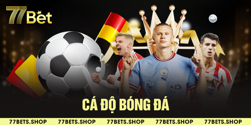 cá độ bóng đá 77bet